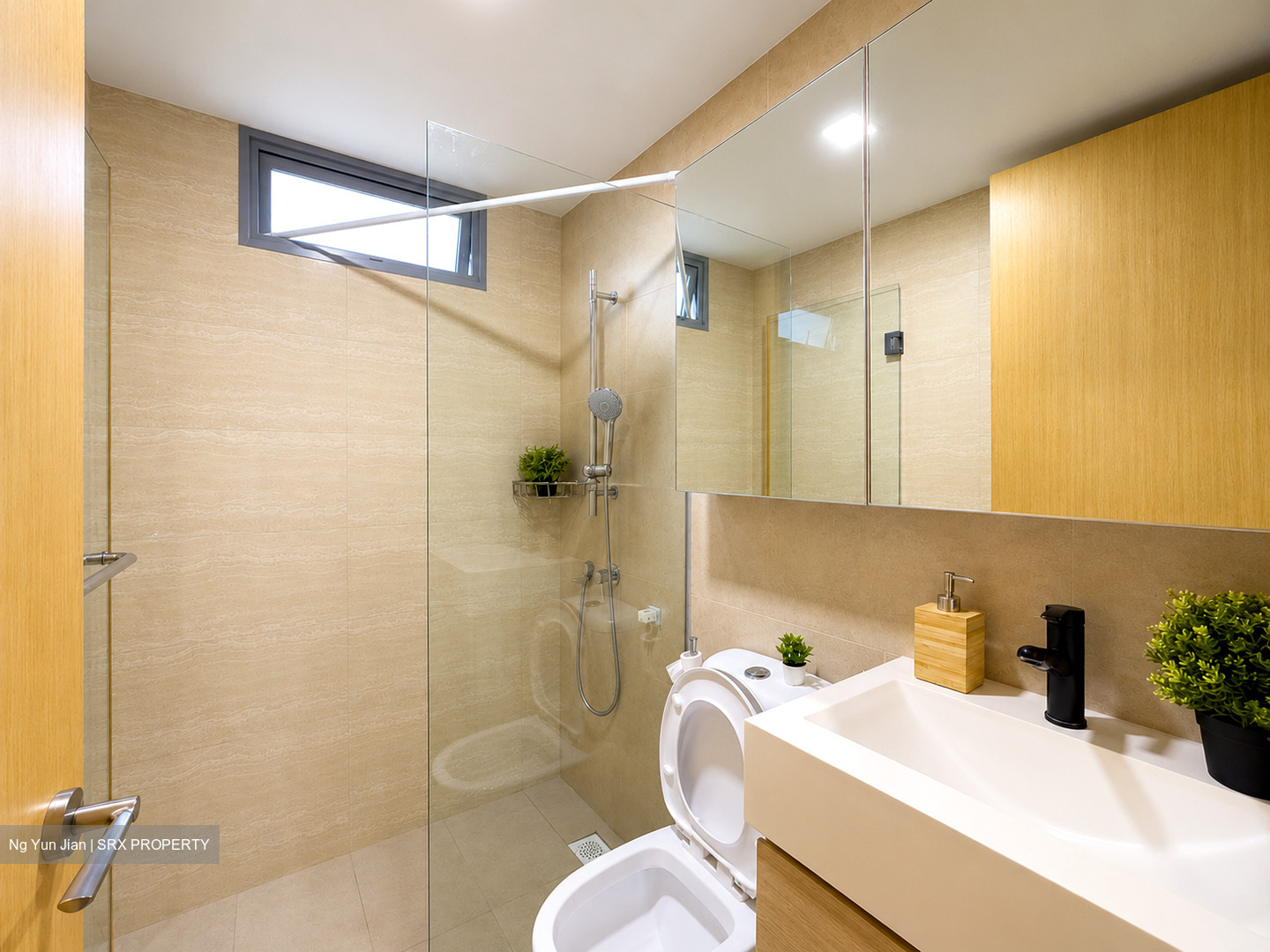 A Treasure Trove (D19), Condominium #582178841
